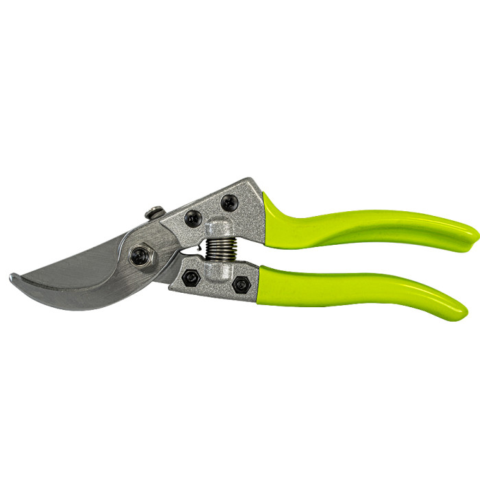 FOARFECA VITA DE VIE 8(200 MM ) JAPAN - valerii.com