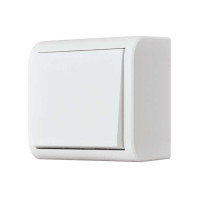 КЛЮЧ ЕДИНИЧЕН ANURA ОТКРИТ МОНТАЖ БЯЛ