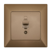 DATA SOCKET GOLD ANURA