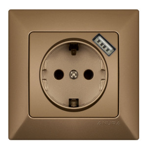 EARTHED SOCKET +USB GOLD ANURA