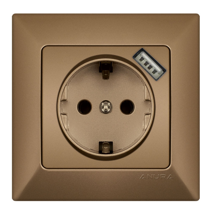EARTHED SOCKET +USB GOLD ANURA - valerii.com
