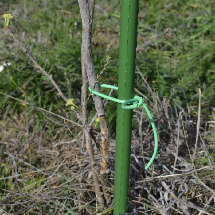 GARDEN TIE TUBE FOR PLANTS