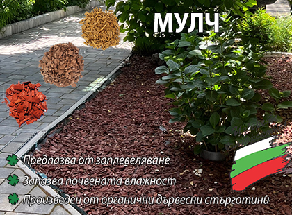 Мулч за вашата градина и растения