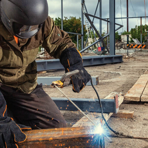 ЕЛЕКТРОЖЕНИ