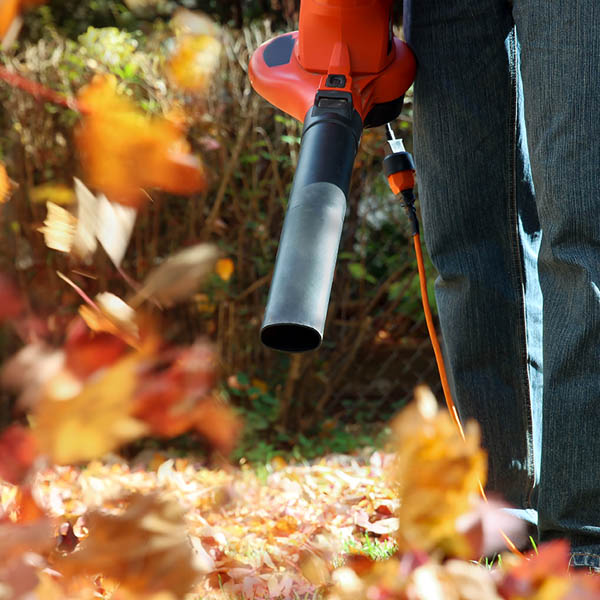 ИЗДУХВАТЕЛИ И ЛИСТОСЪБИРАЧИ