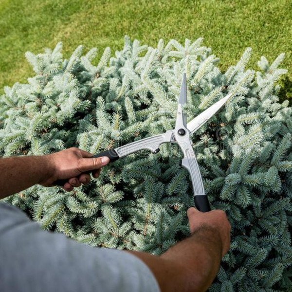 НОЖИЦИ ЗА ХРАСТИ