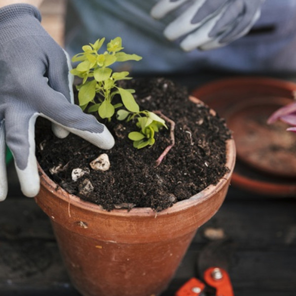 ТОПЕНИ В НИТРИЛ